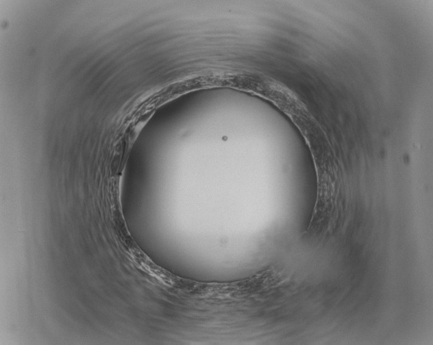 X0000078280773200611251417