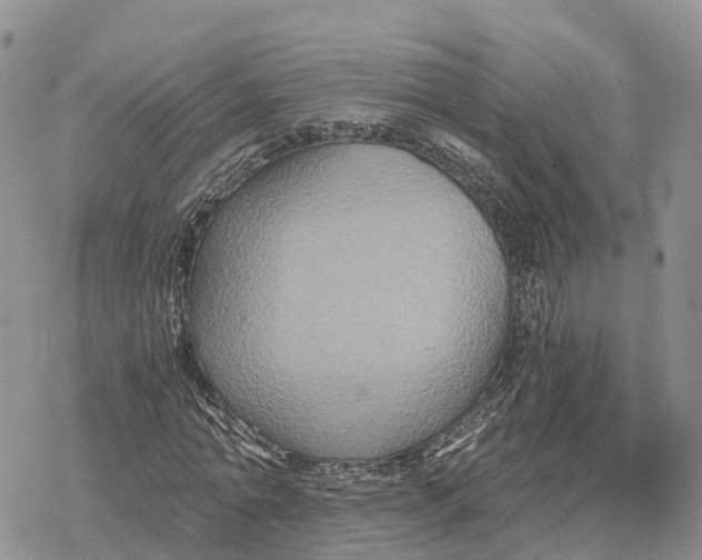 X0000078280774200611251417