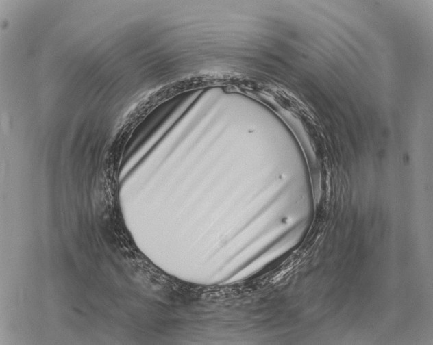 X0000078280776200611251417