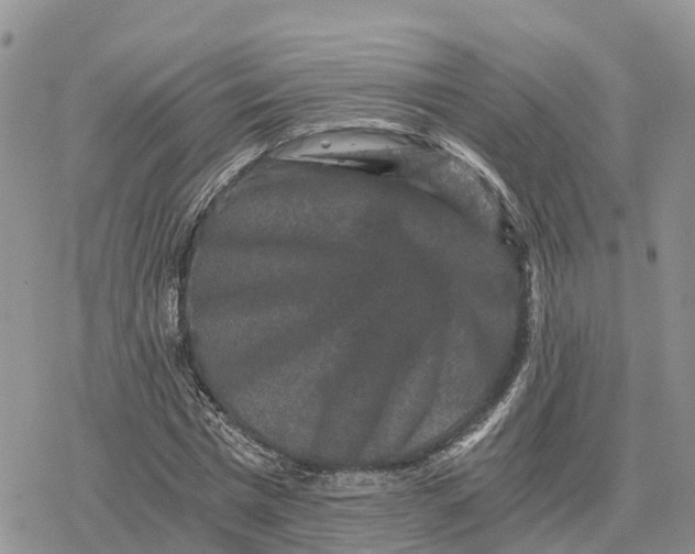 X0000078280777200611251417