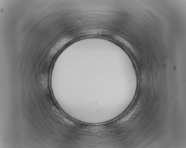 X0000078280778200611251417