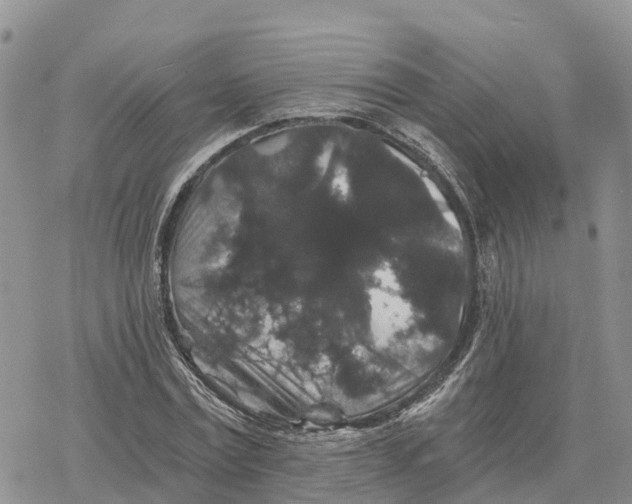 X0000078280779200611251417