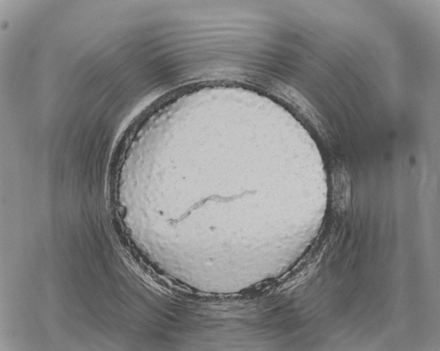 X0000078280780200611251417