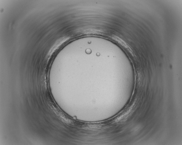 X0000078280782200611251417