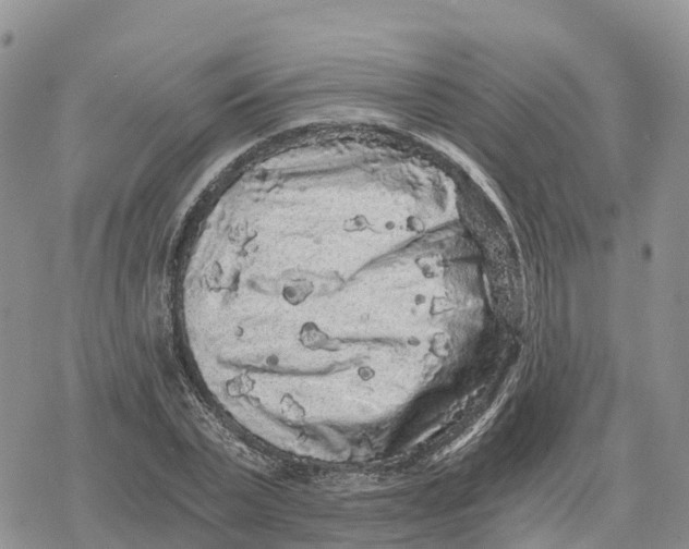 X0000078280783200611251417