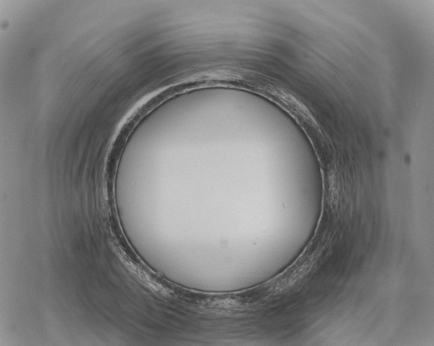 X0000078280784200611251417