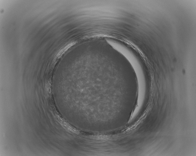 X0000078280785200611251417