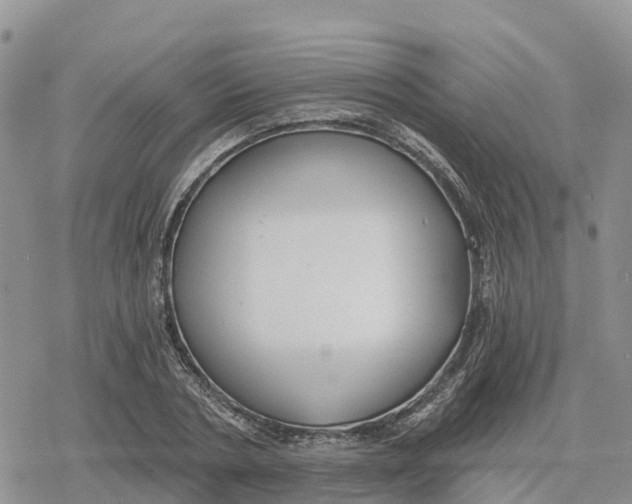 X0000078280786200611251417