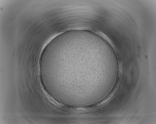 X0000078280787200611251417