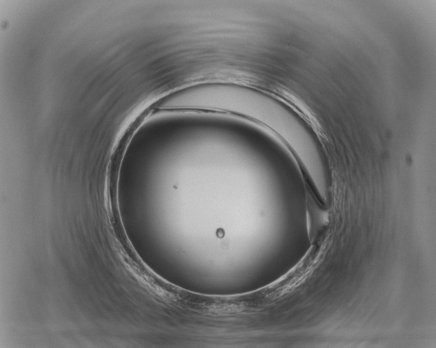 X0000078280788200611251417