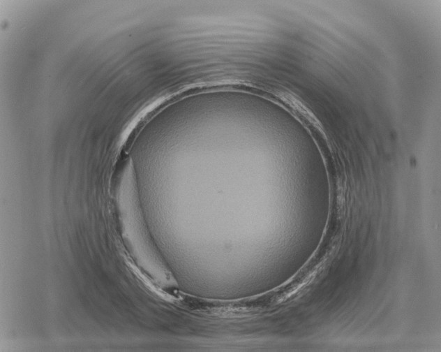 X0000078280789200611251417