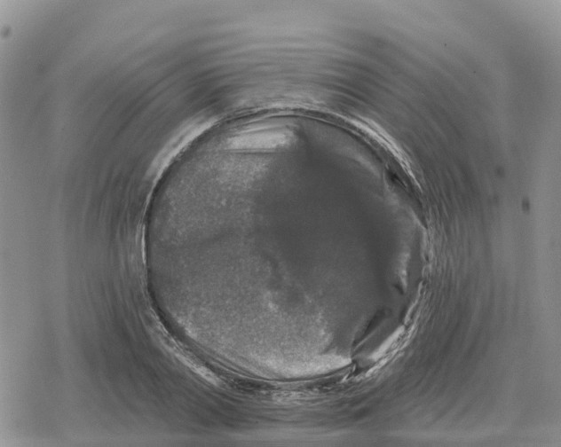 X0000078280790200611251417