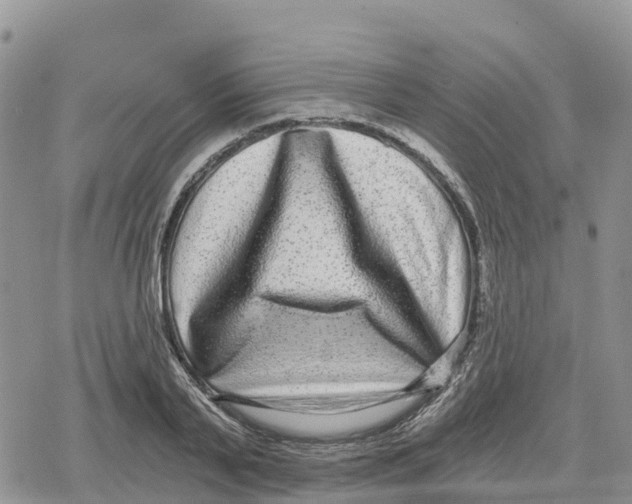 X0000078280791200611251417