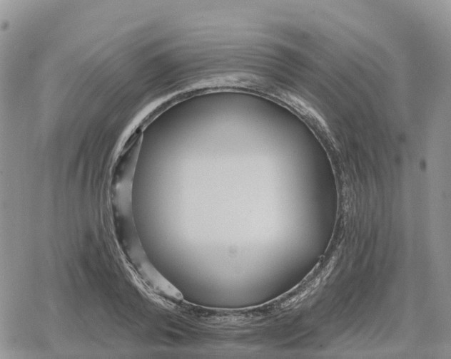 X0000078280792200611251417