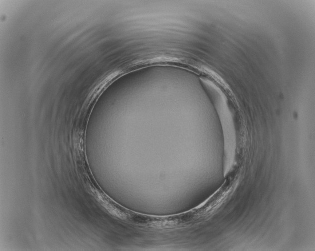 X0000078280793200611251417