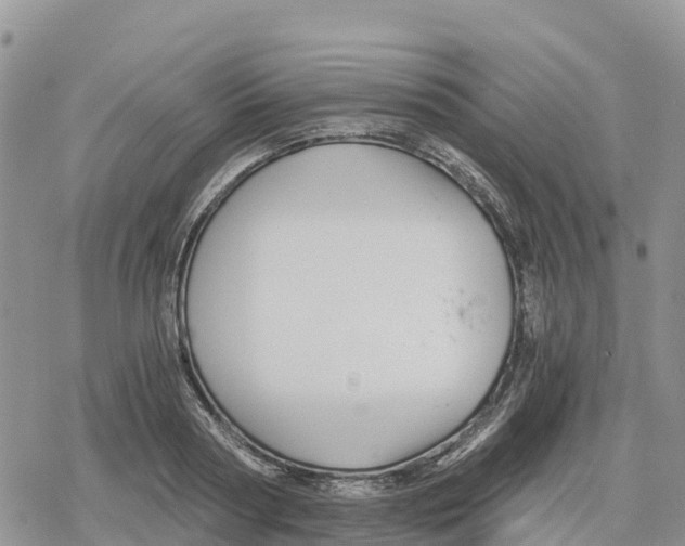 X0000078280794200611251417