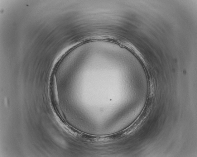 X0000078280795200611251417