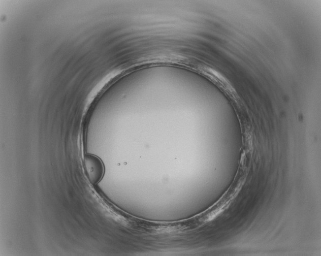 X0000078280796200611251417