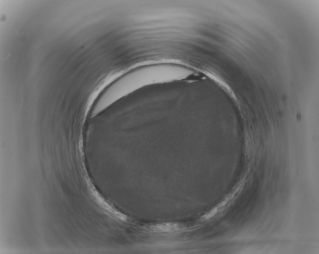 X0000078280797200611251417