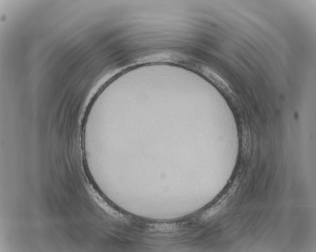 X0000078280800200611251417