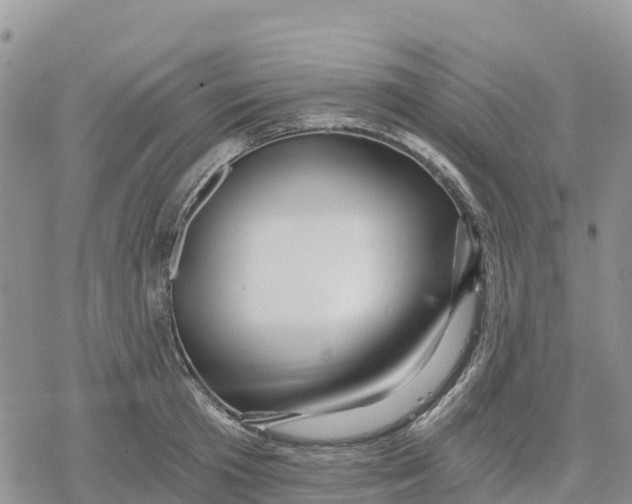 X0000078280801200611251417