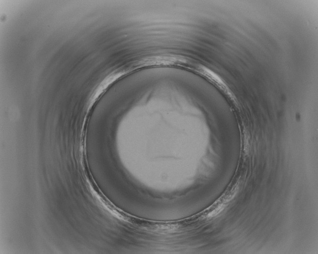 X0000078280802200611251417