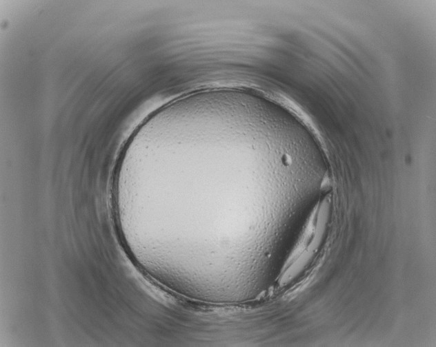 X0000078280803200611251417