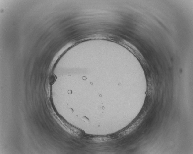 X0000078280804200611251417