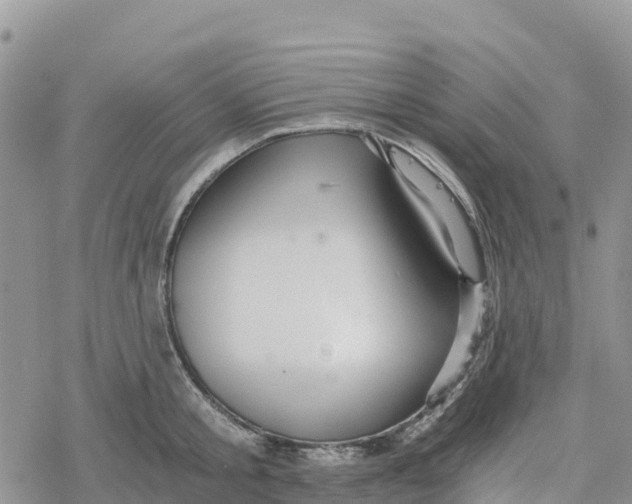 X0000078280805200611251417