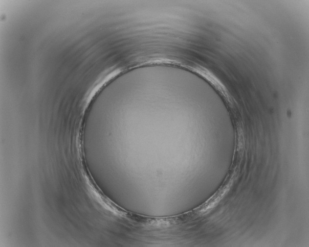 X0000078280806200611251417