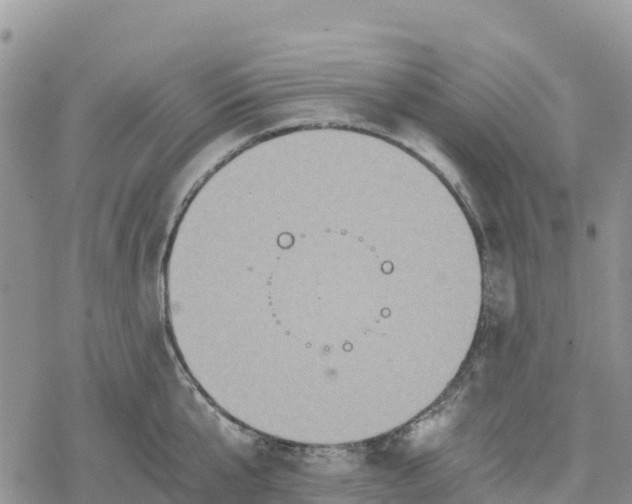 X0000078280807200611251417