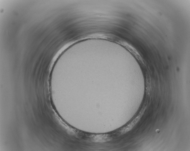 X0000078280808200611251417