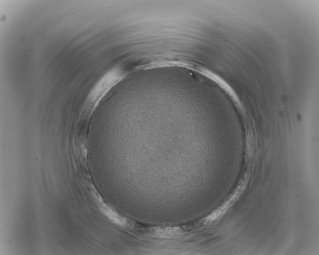 X0000078280809200611251417