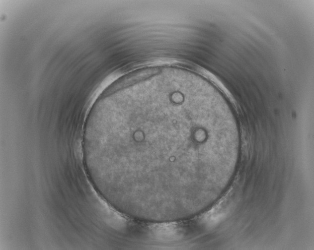 X0000078280810200611251417