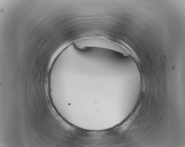 X0000078280812200611251417