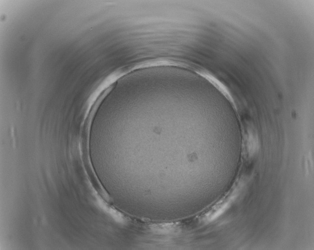 X0000078280813200611251417