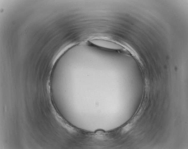 X0000078280814200611251416