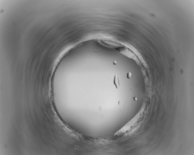 X0000078280815200611251416