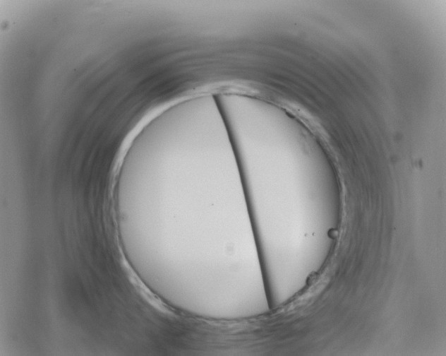 X0000078280816200611251416