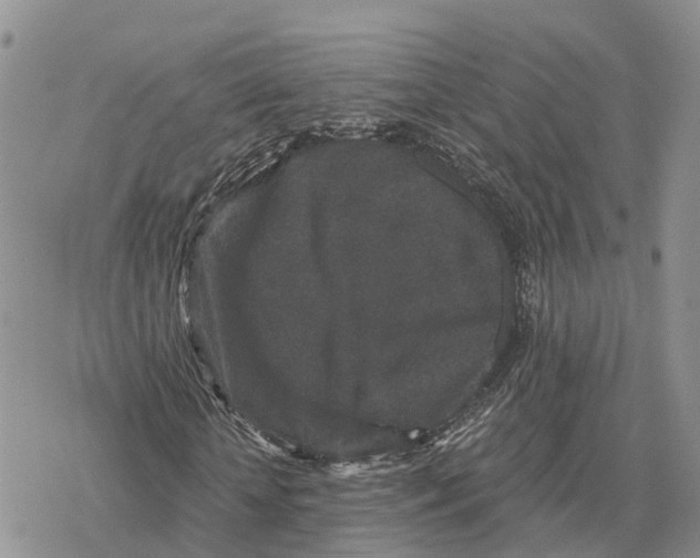 X0000078280818200611251416