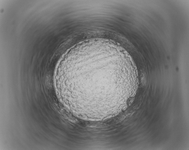 X0000078280819200611251416