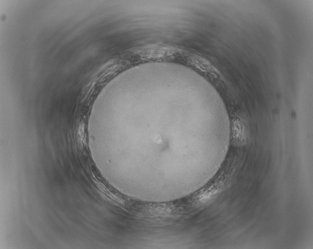 X0000078280820200611251416