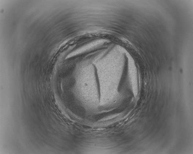 X0000078280822200611251416