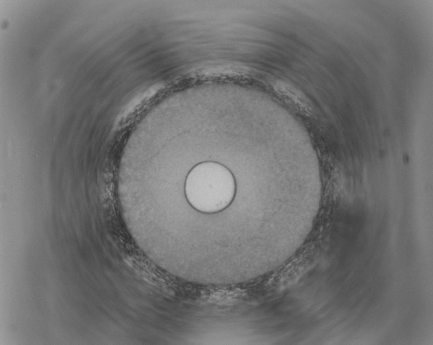 X0000078280824200611251416