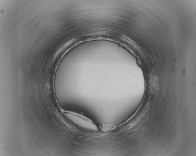 X0000078280826200611251416