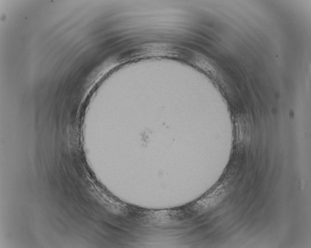 X0000078280828200611251416