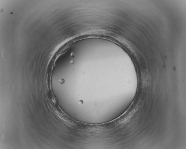 X0000078280830200611251416