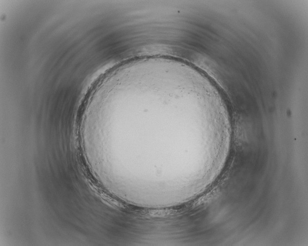 X0000078280832200611251416