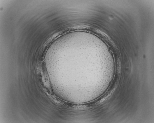 X0000078280833200611251416