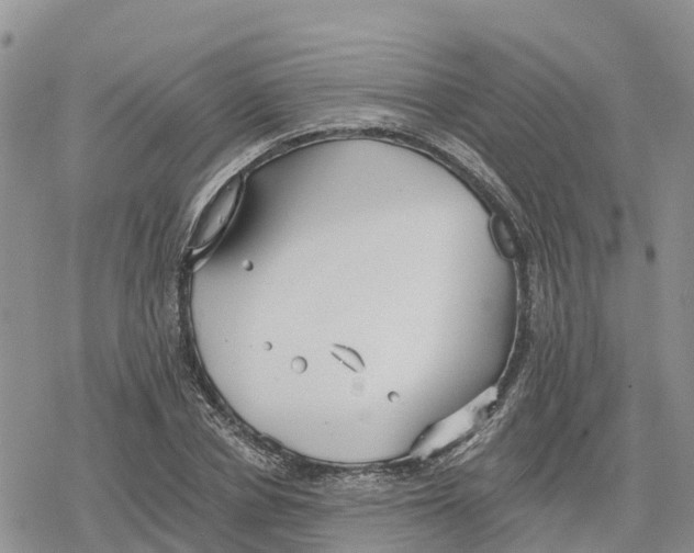 X0000078280834200611251416